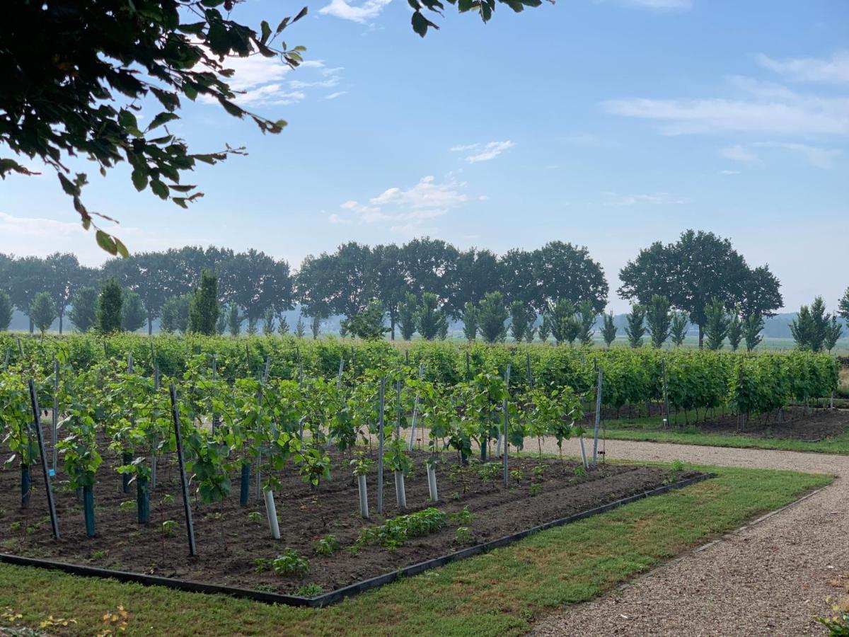 Het Gouden Hert Montfort Esterno foto